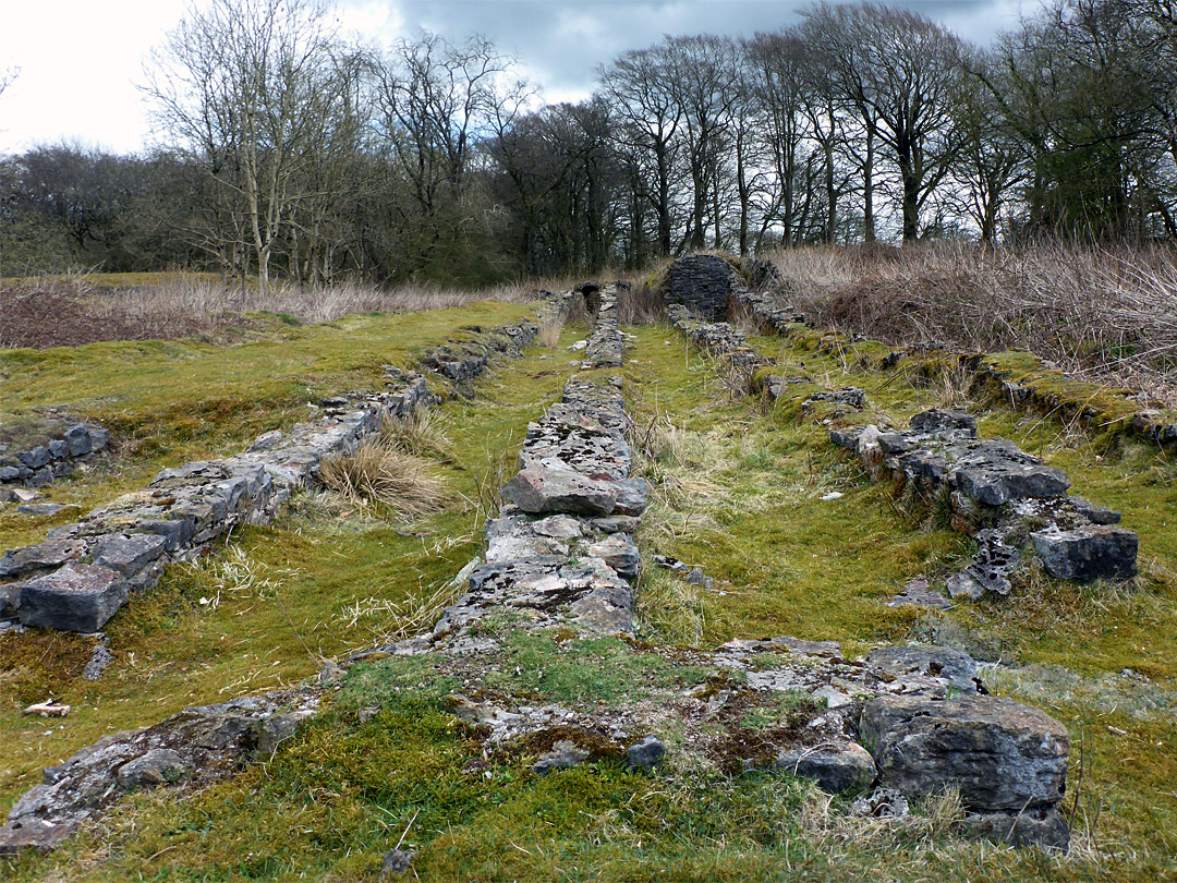 Ruined flues