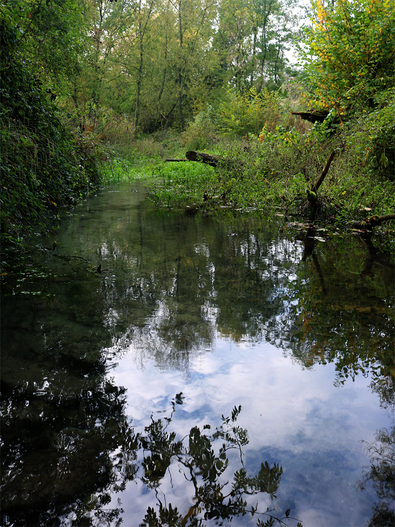 Letcombe Brook