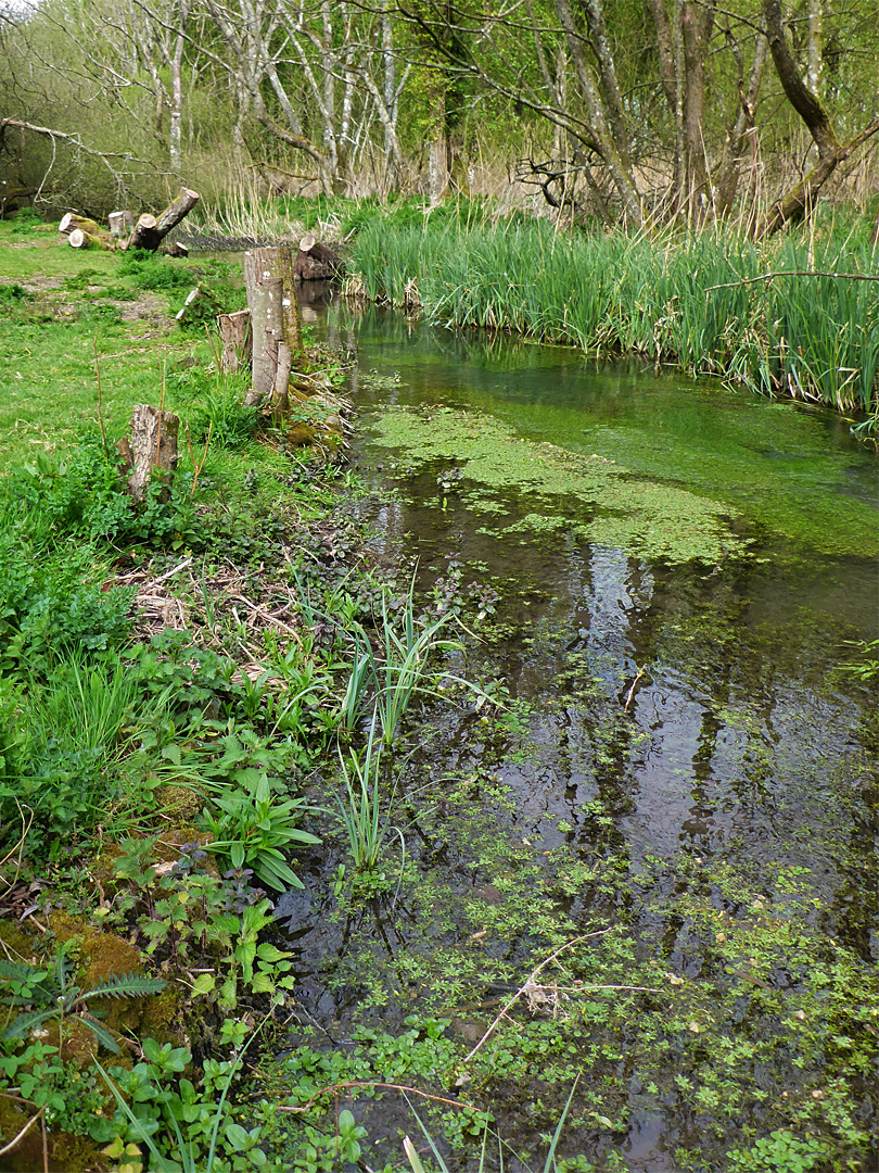 River Kennet