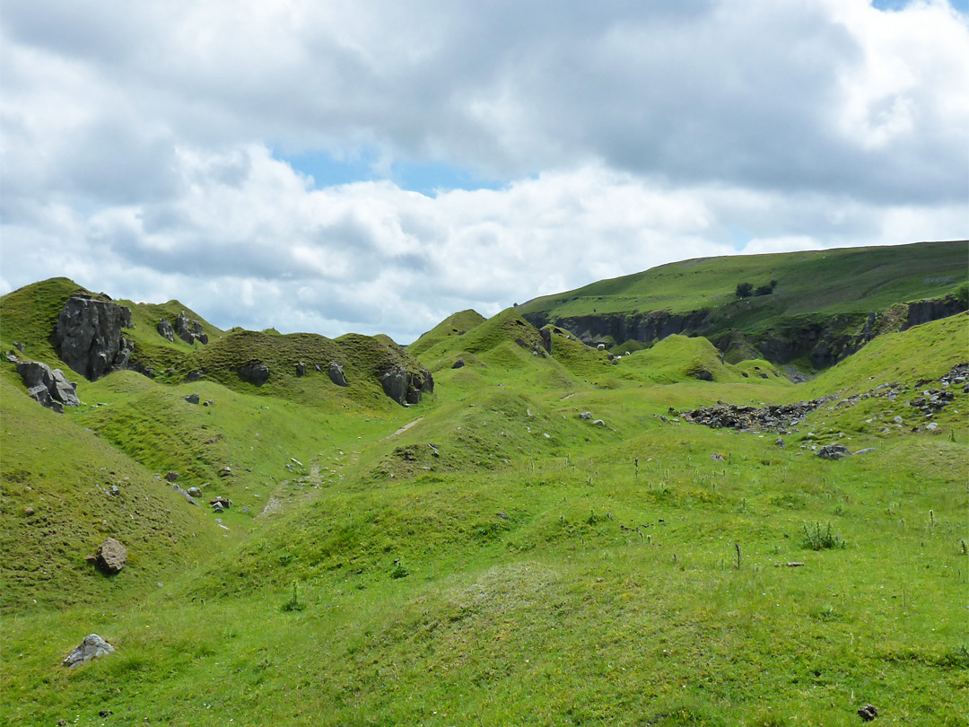 Grassy spoil heaps