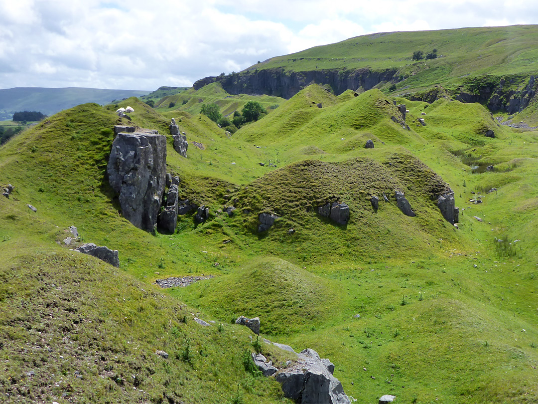 Overgrown quarry