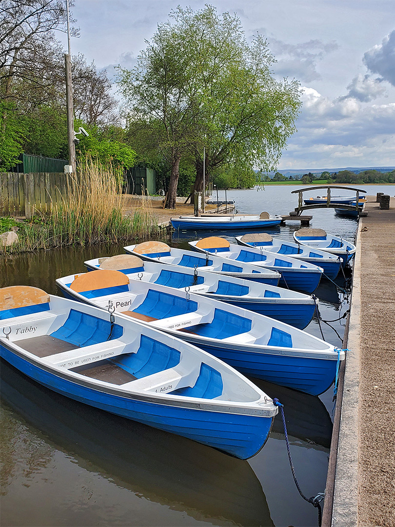 Boats