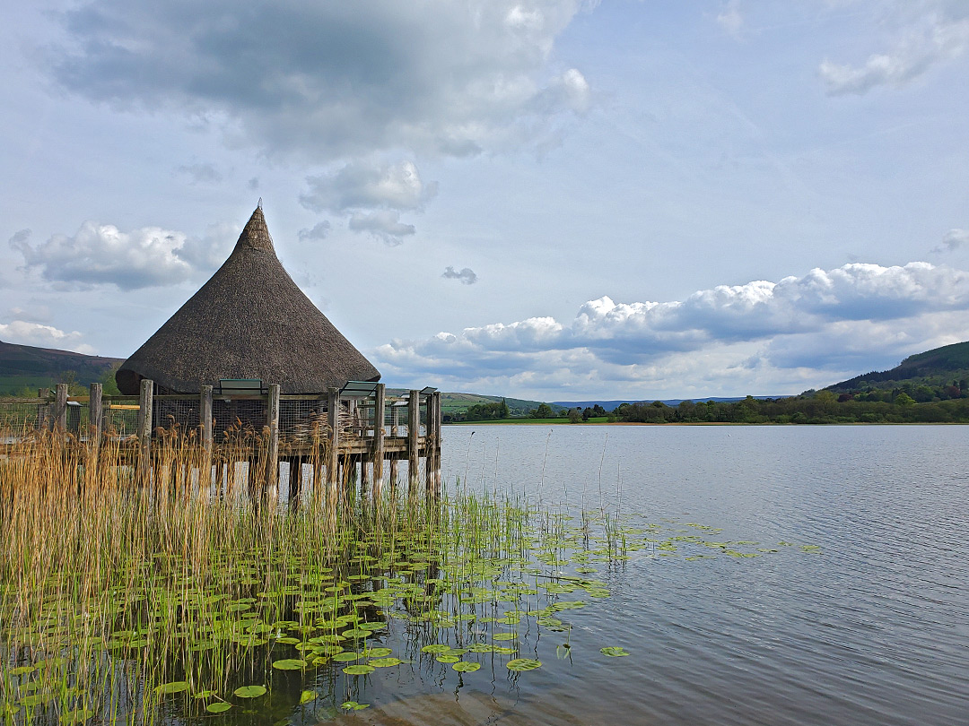 Bird hide