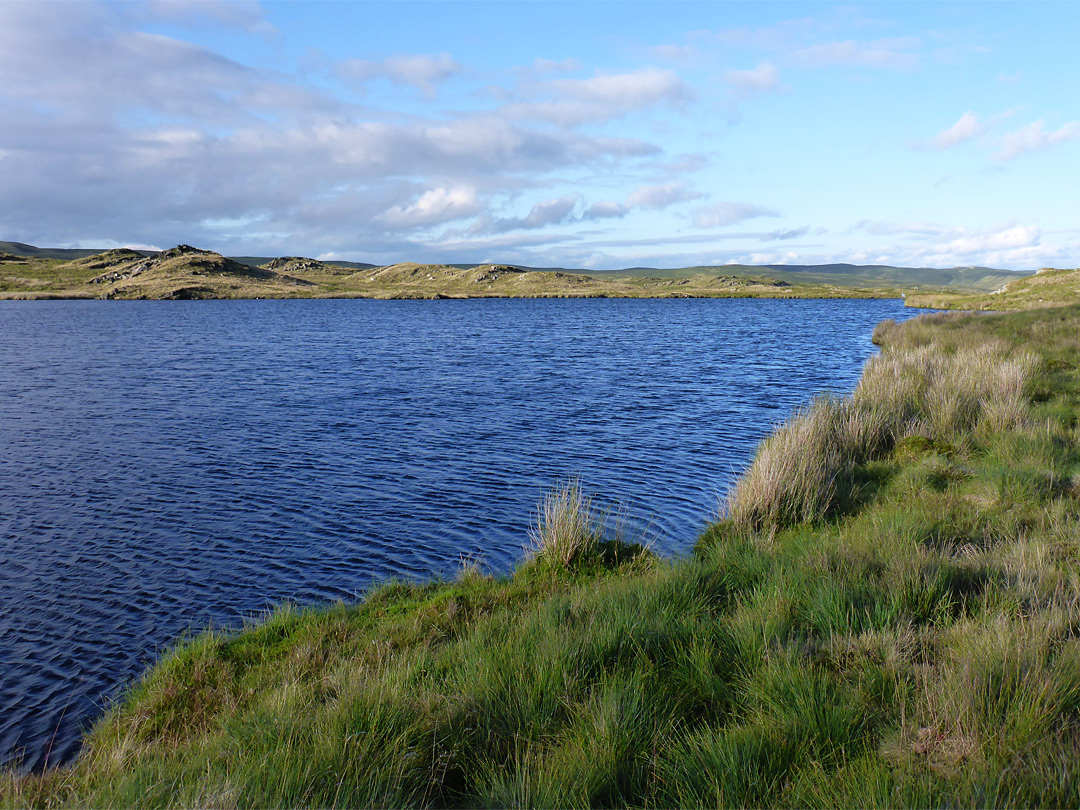 Llyn Bach