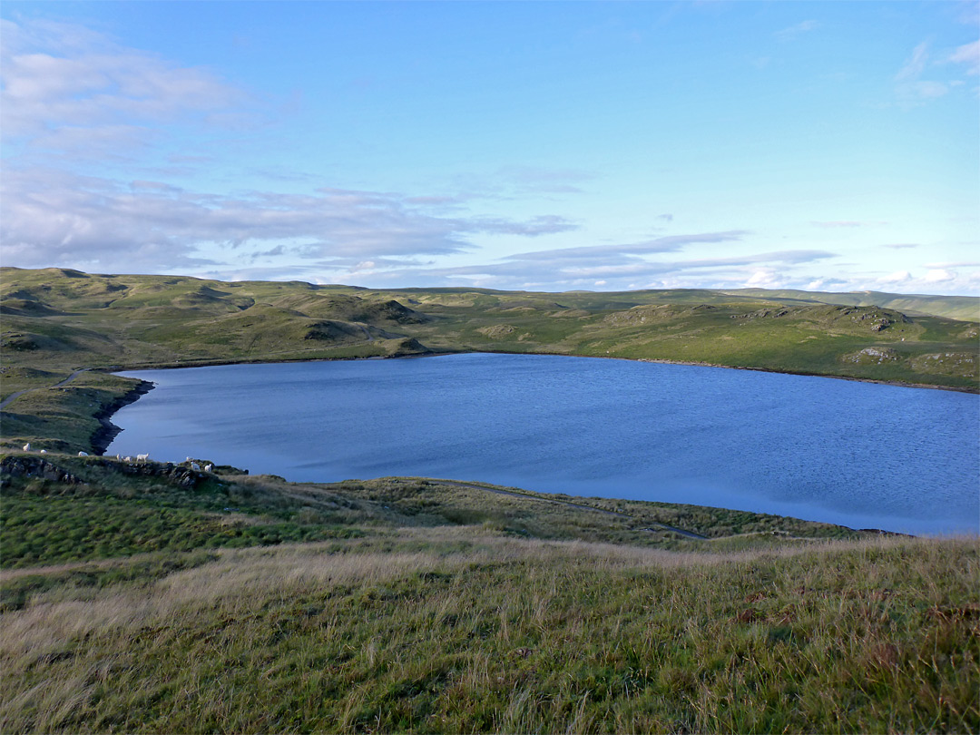 North end of Llyn Egnant