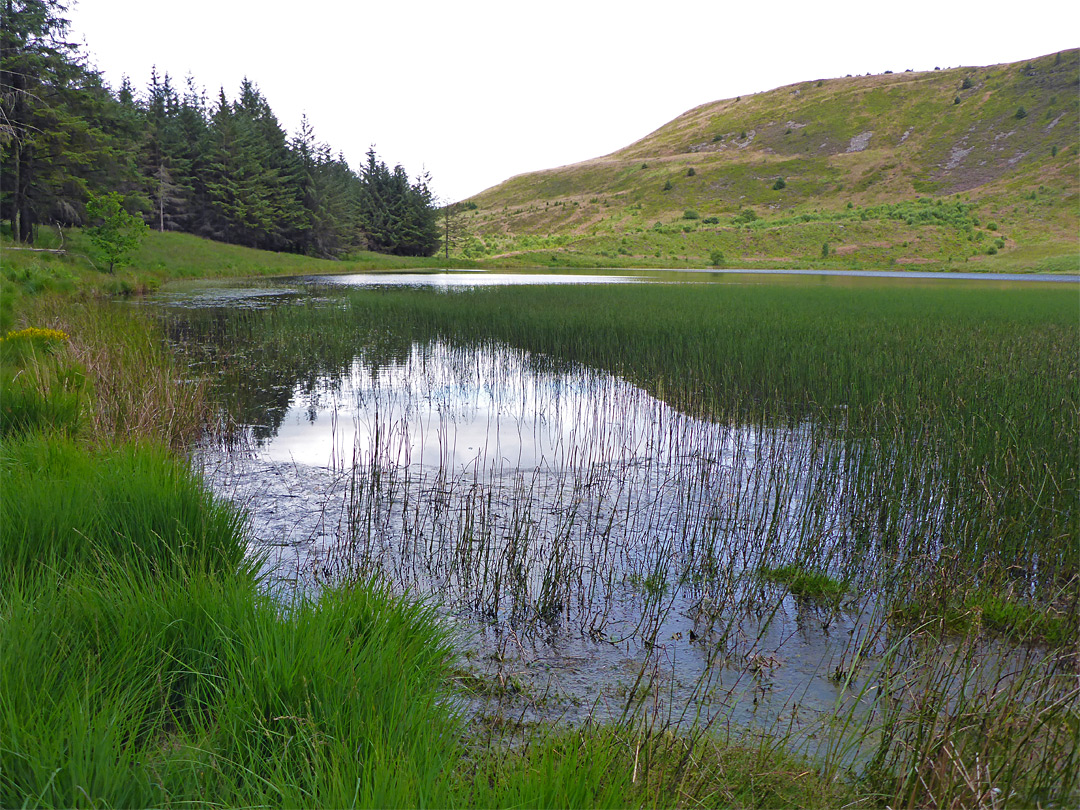 North edge of the lake