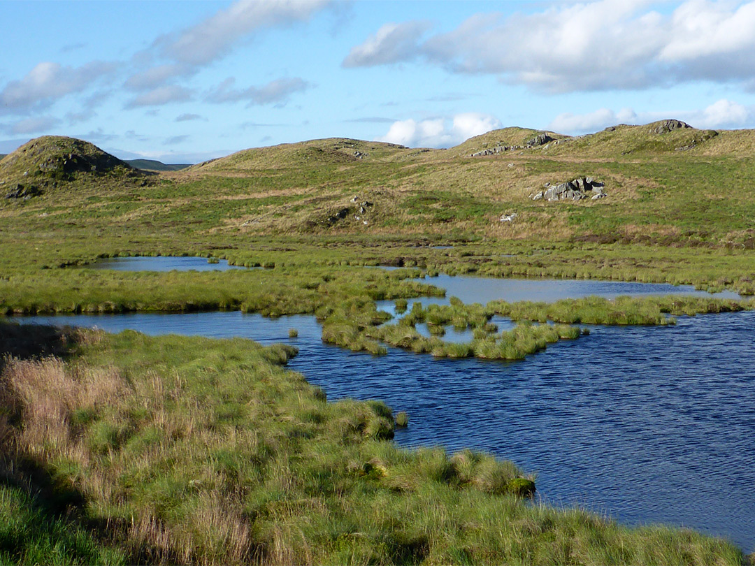 Marshy pond