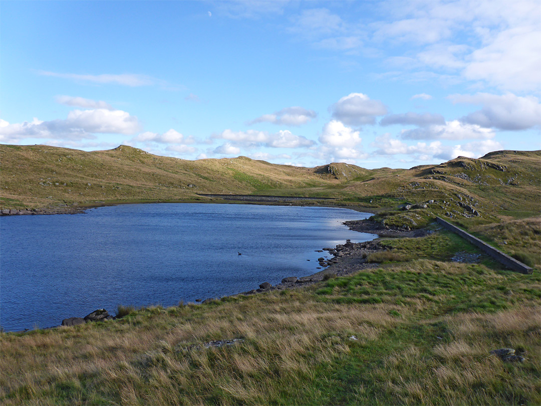 Shoreline of Llyn Teifi