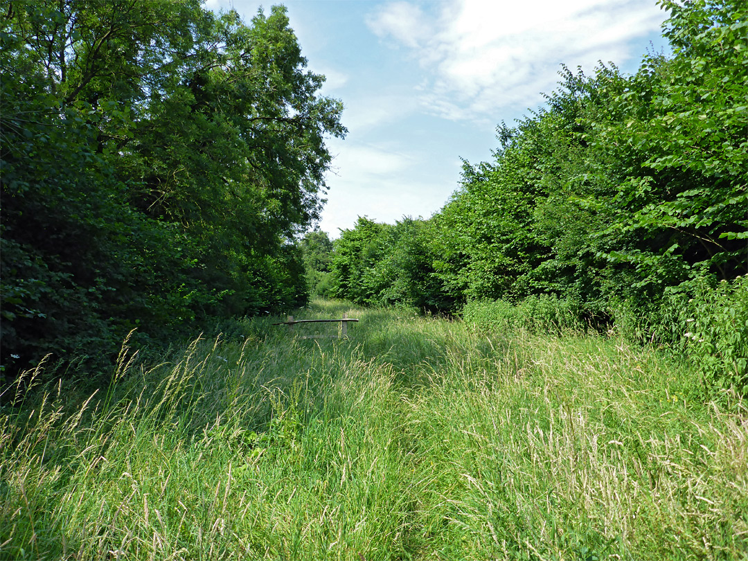 Photographs of Old London Road Nature Reserve, Gloucestershire, England ...