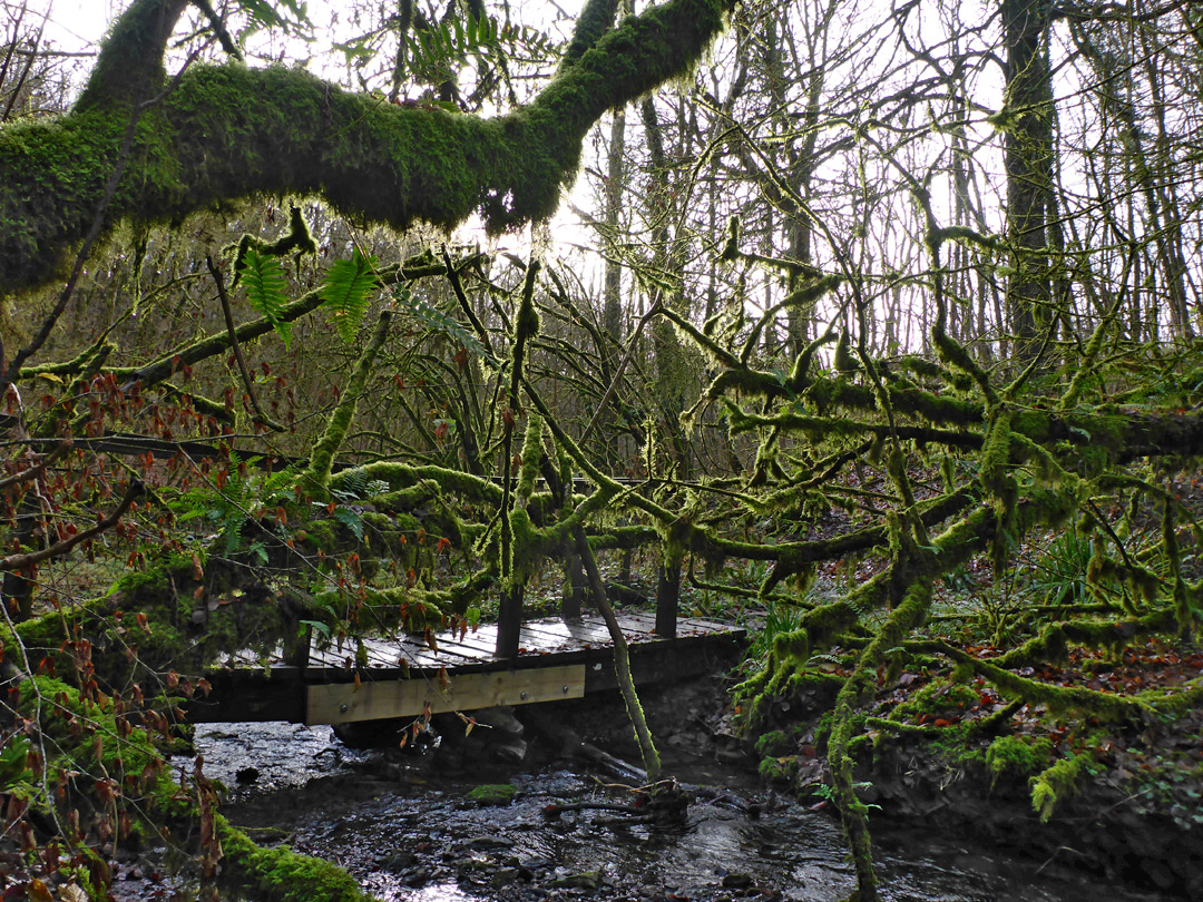 Footbridge