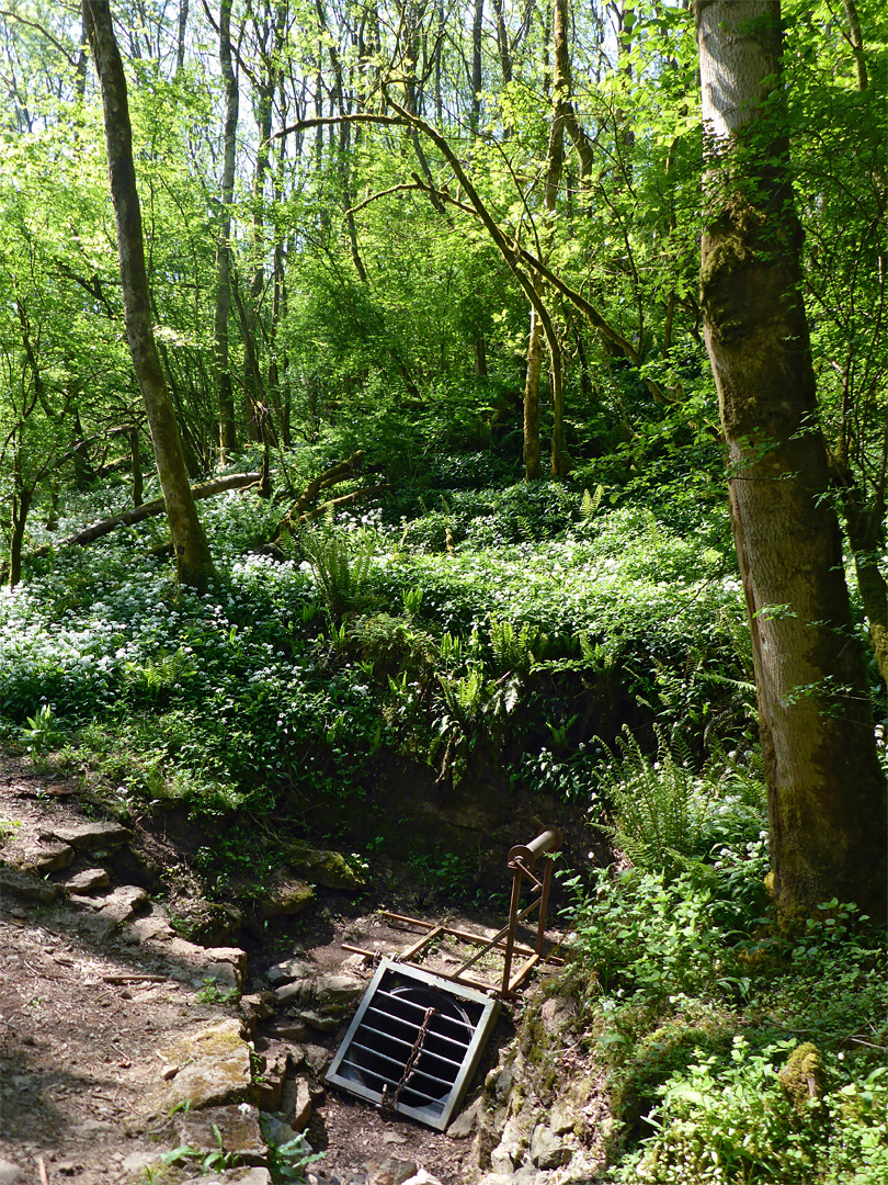 Cave entrance