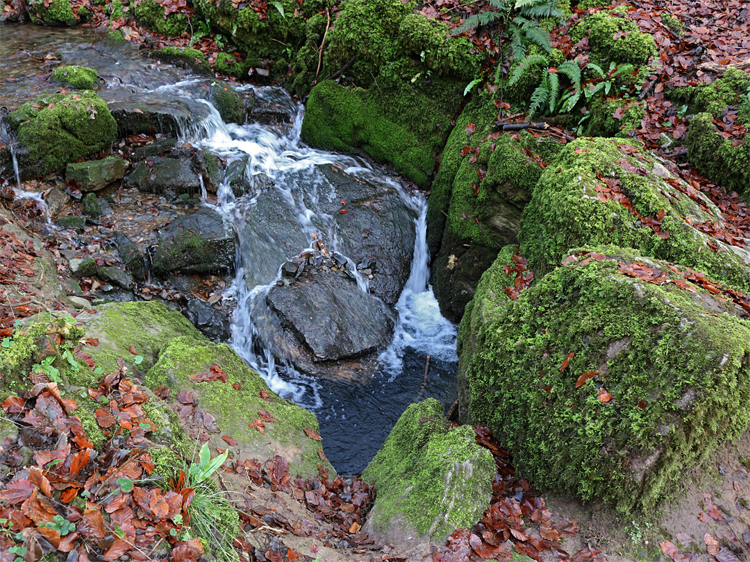 Mossy rocks