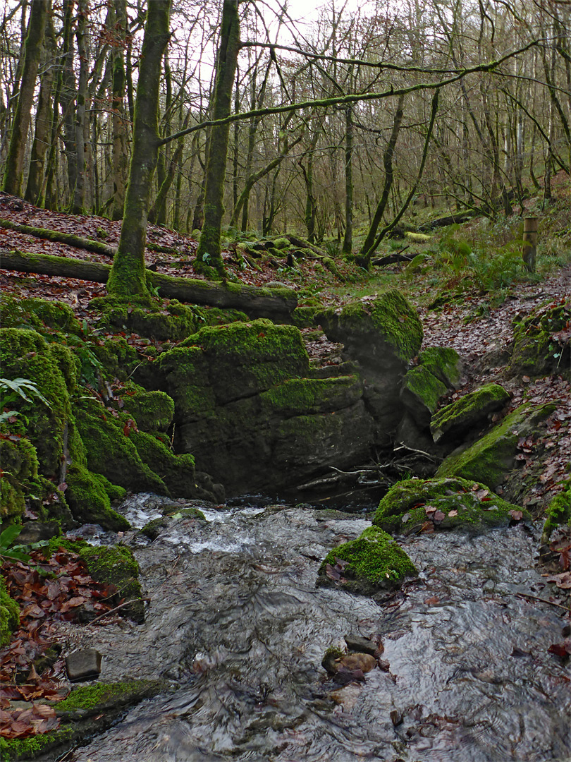 Sink hole, in winter