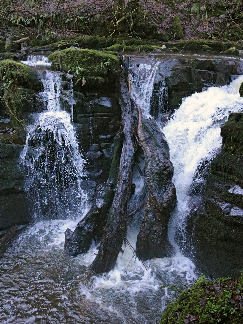 Logs and waterfall