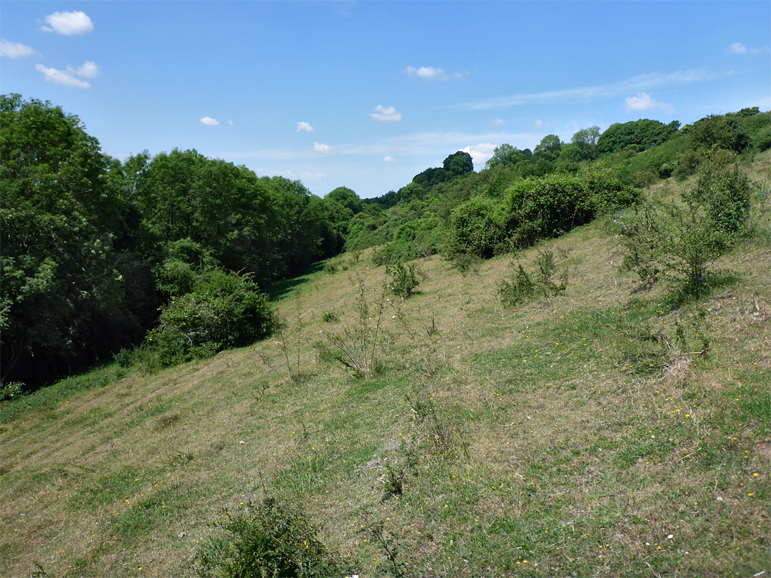 Lower section of the reserve