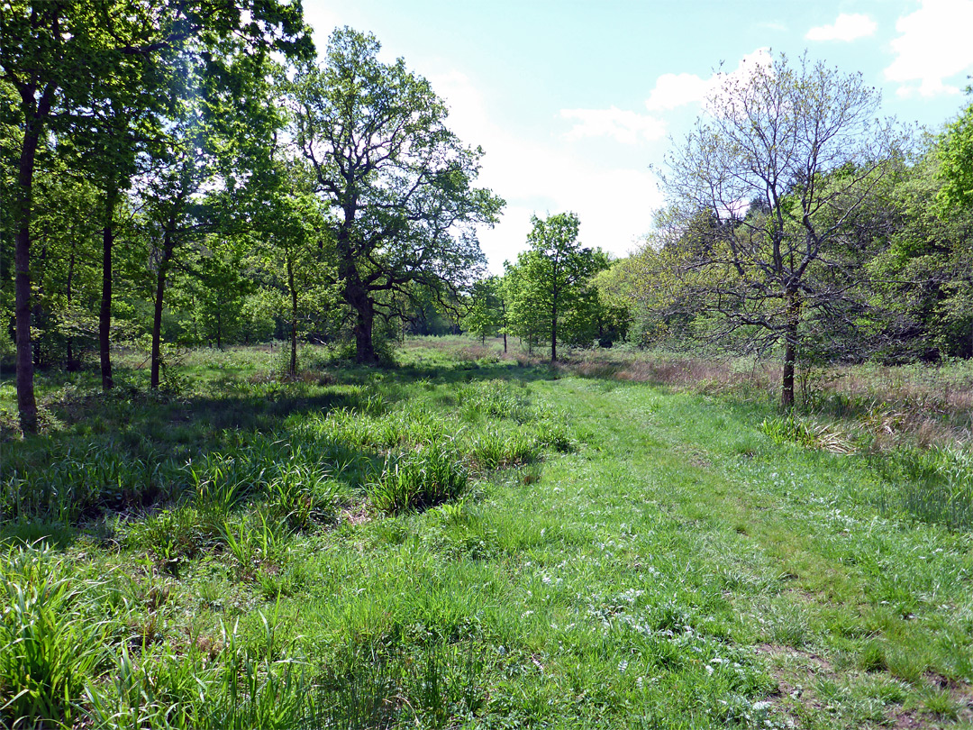 Horton Great Trench