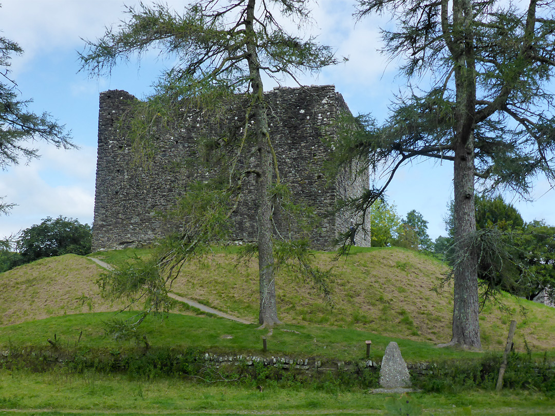 Trees by the castle