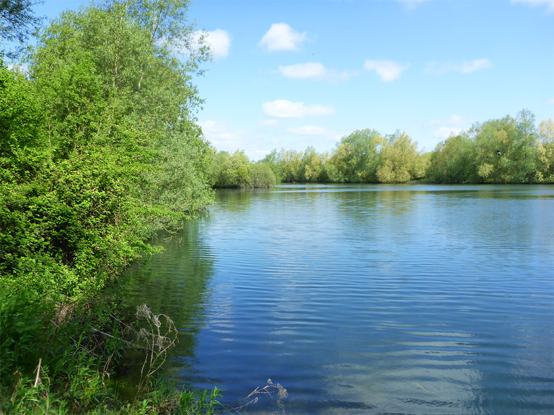 Mallard Lake