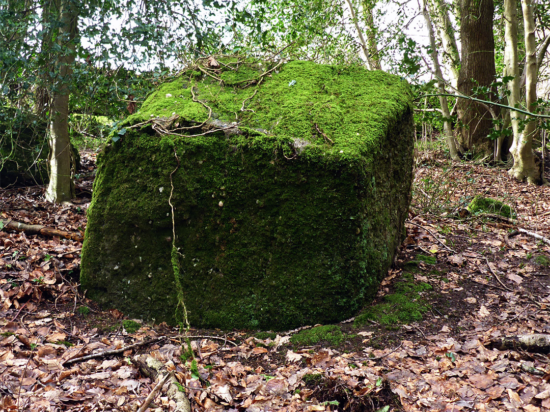 Cube-shaped rock