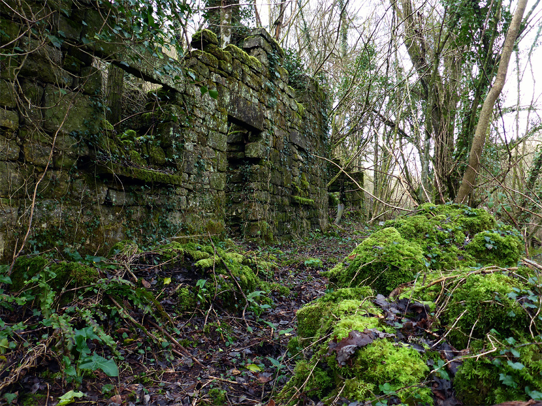 Ruined building