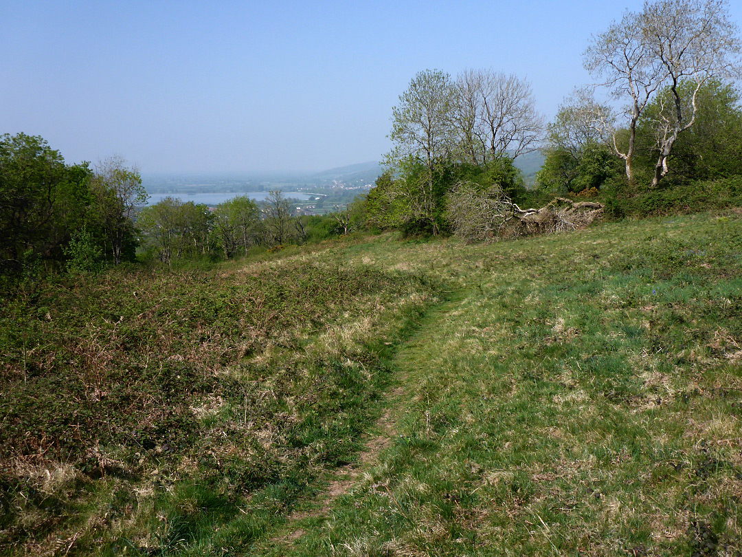 Grassland path