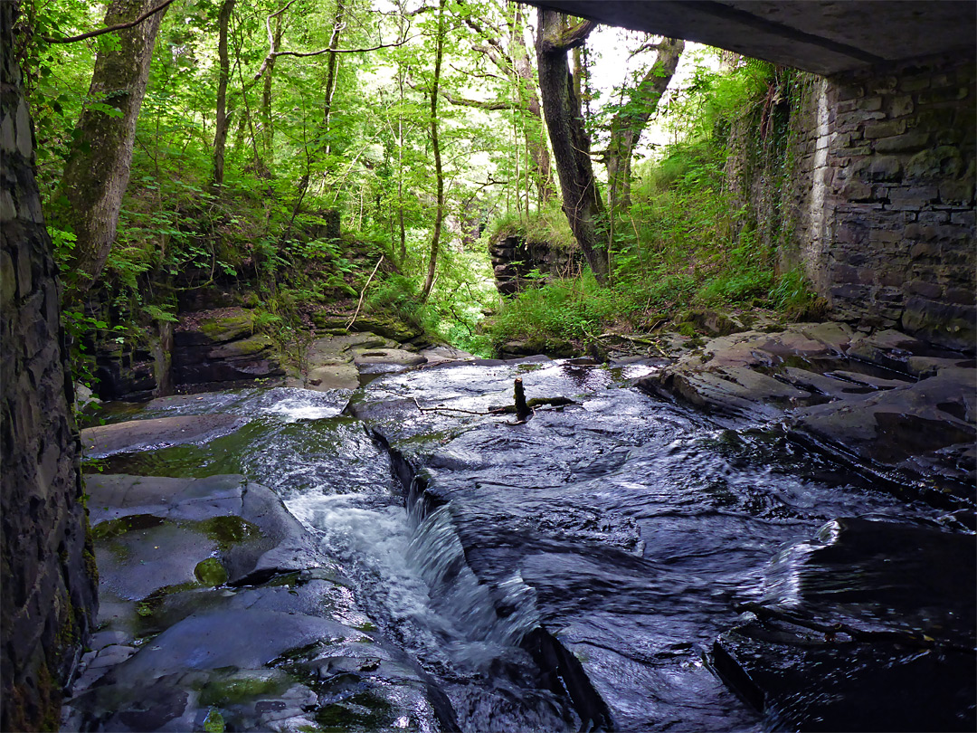 Bridge over the stream