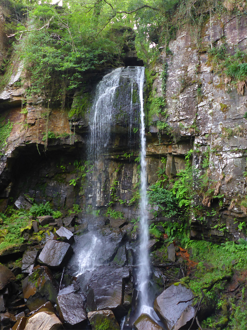 Sandstone cliff