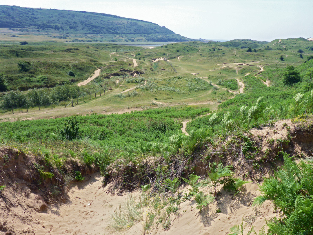 Paths near the river