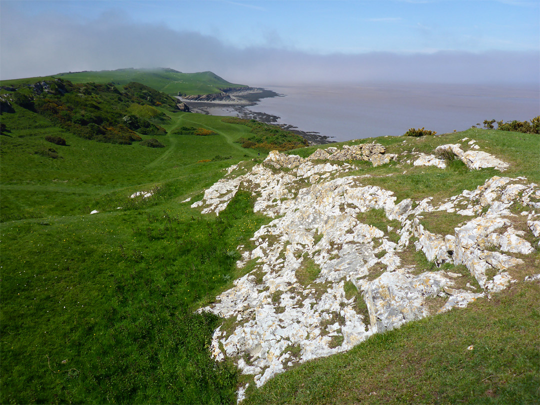 Limestone outcrop