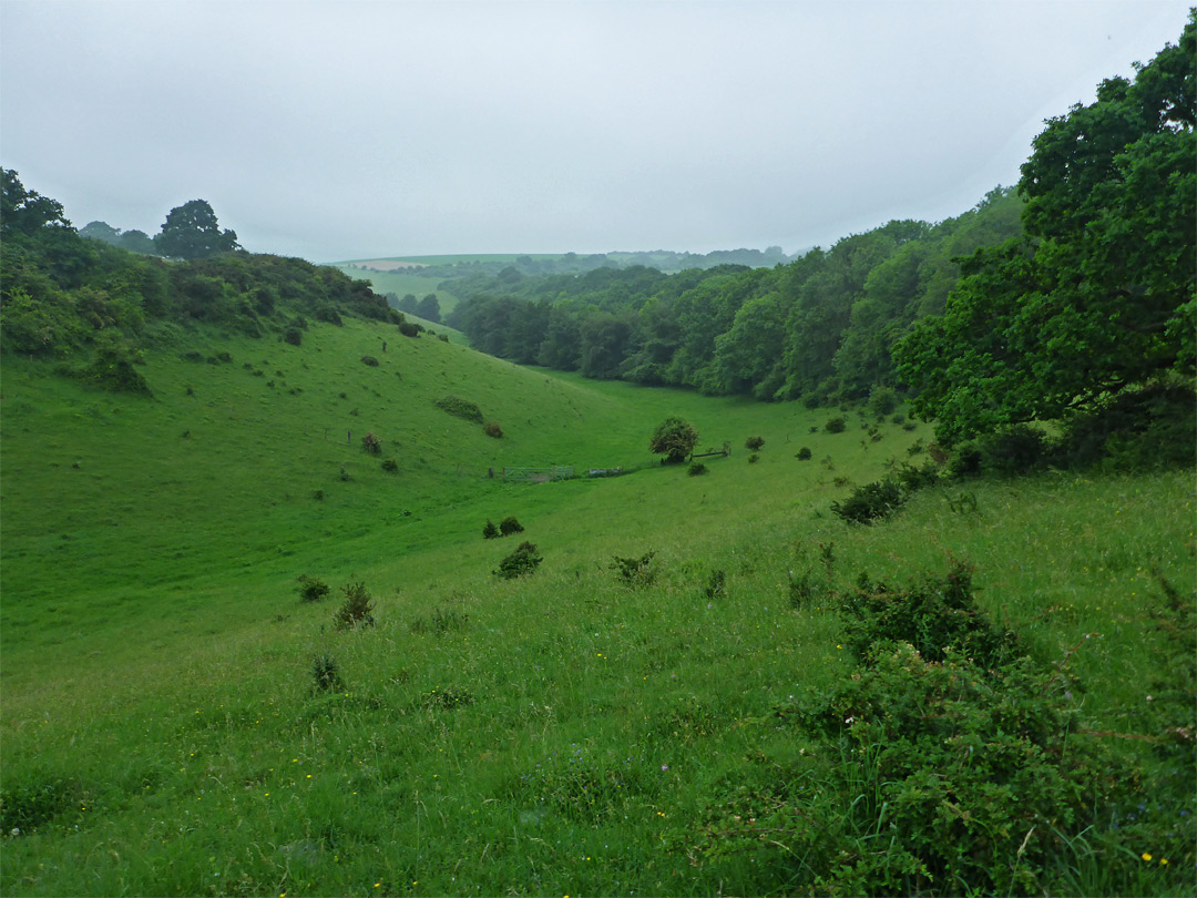 South arm of the valley