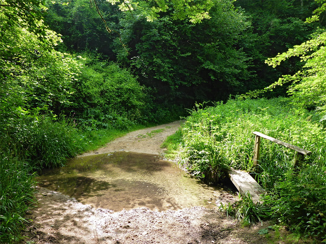 Footbridge and ford