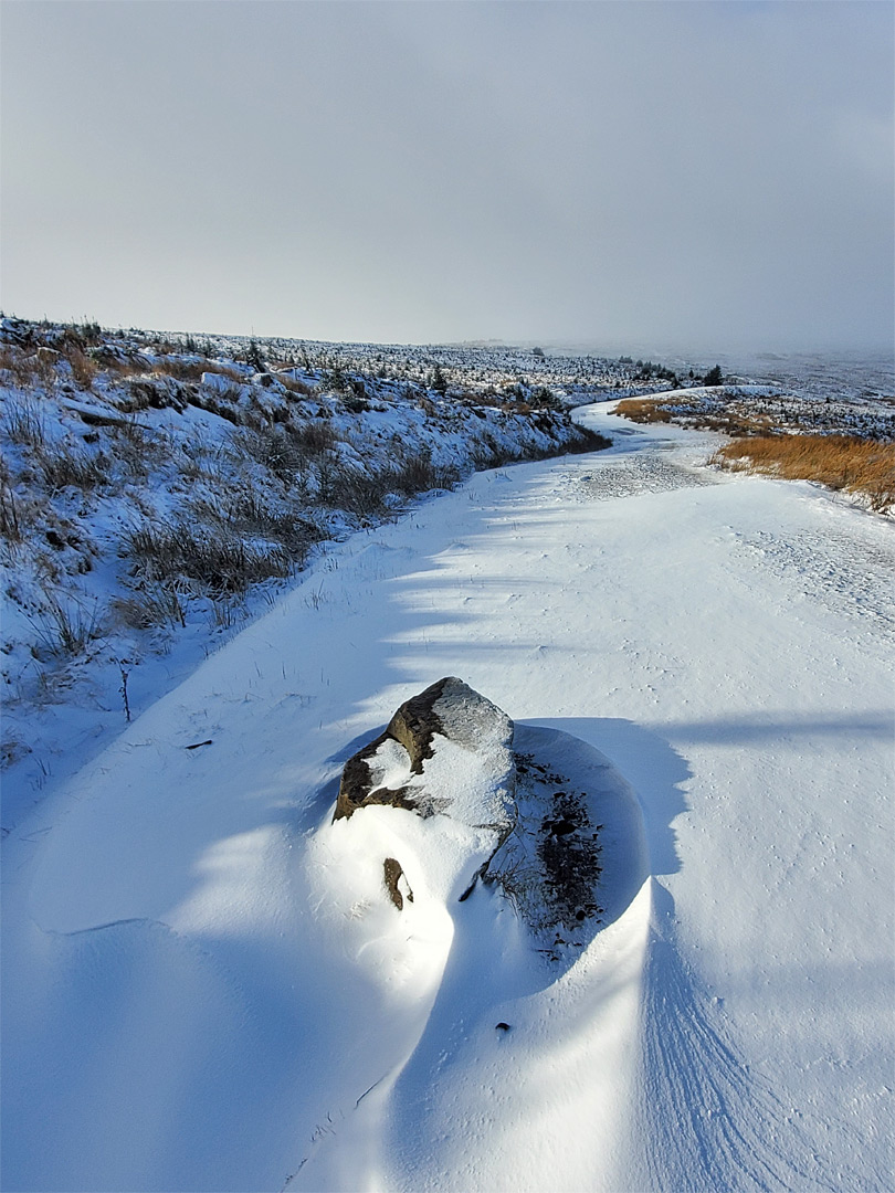 Wind-blown snow