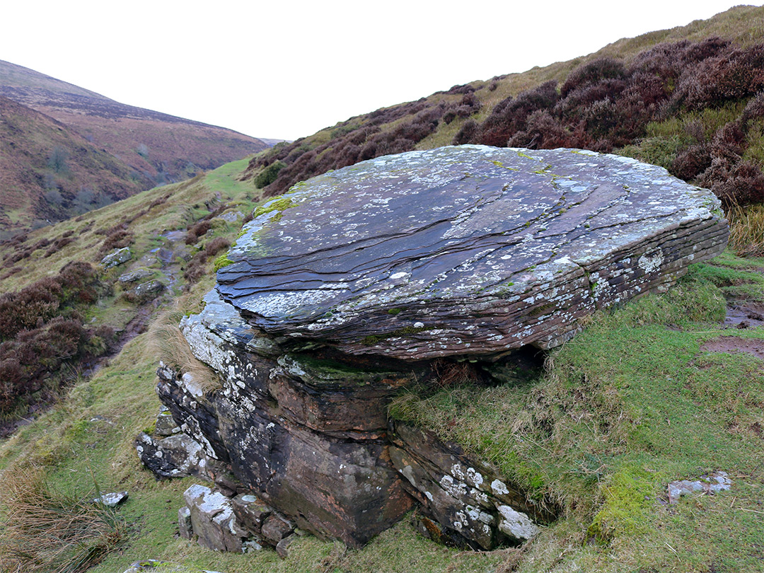 Rocks beside the path