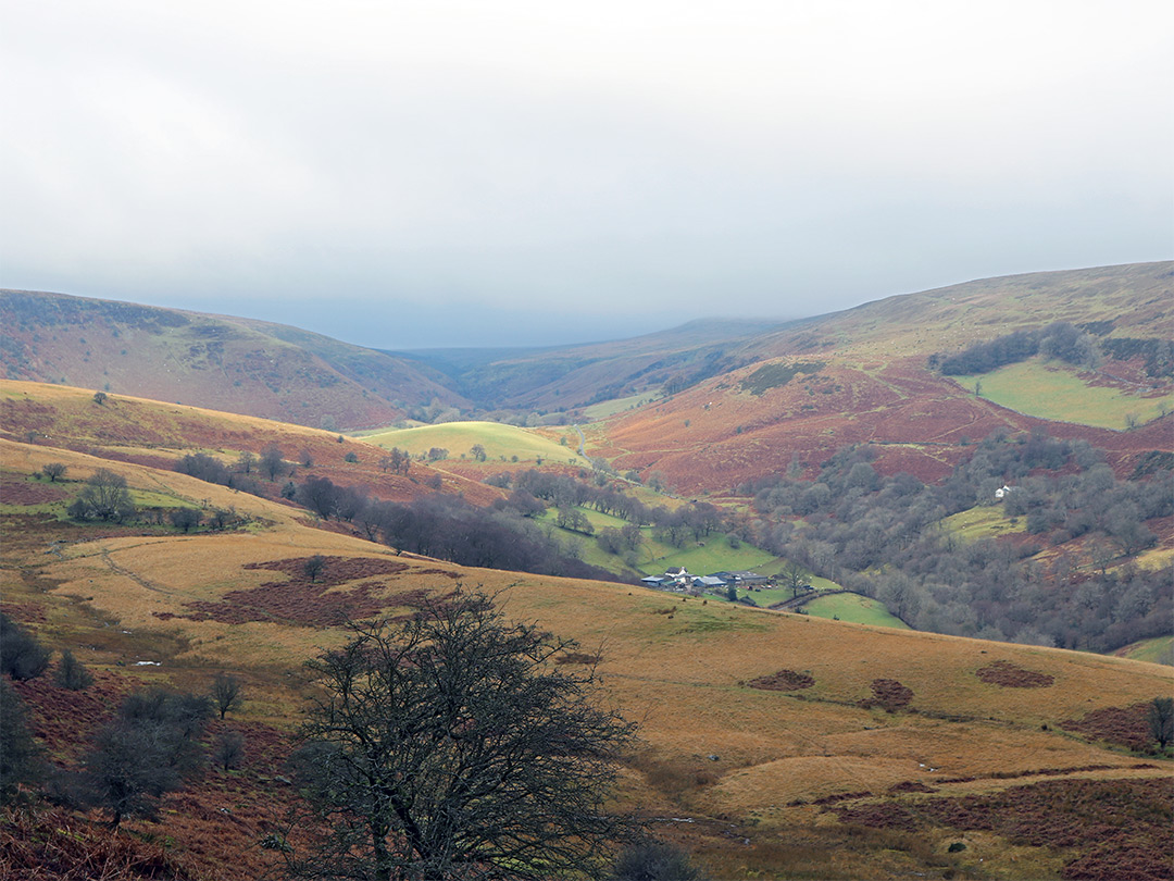 Nant Bwch valley