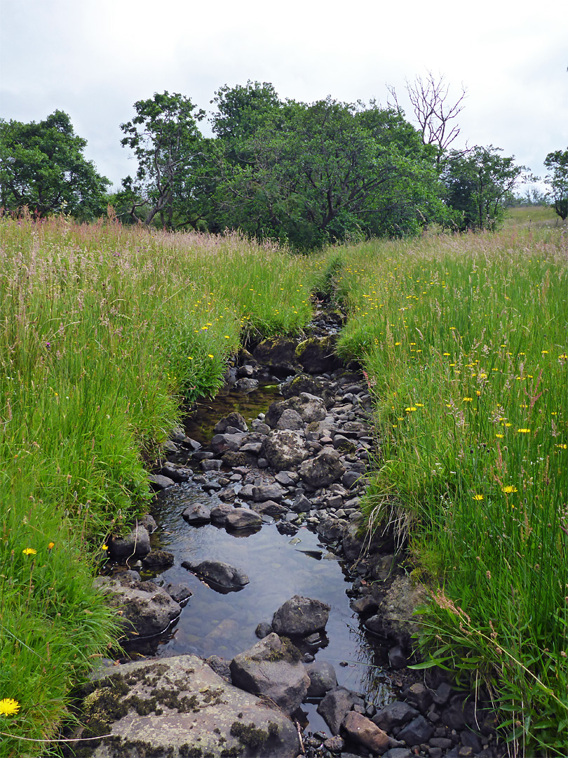 Nant Cadlan