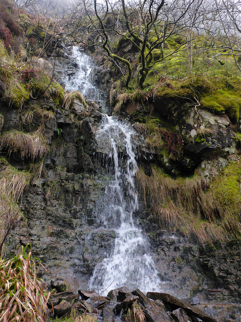 Mossy waterfall