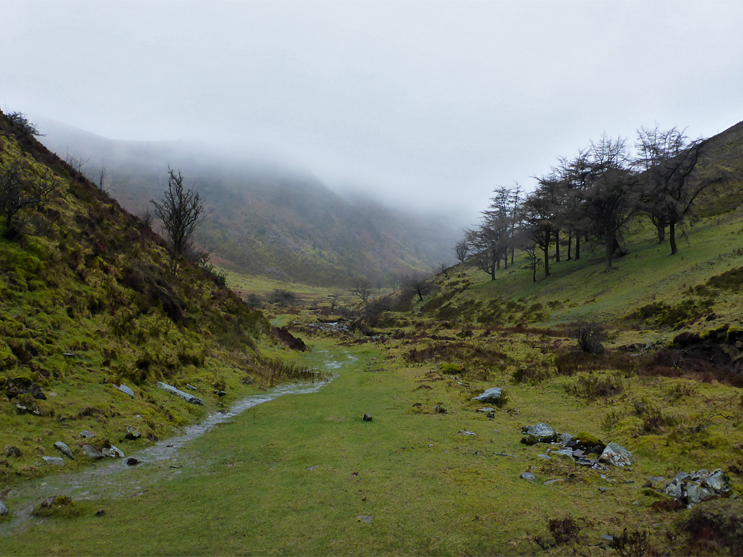 Misty valley