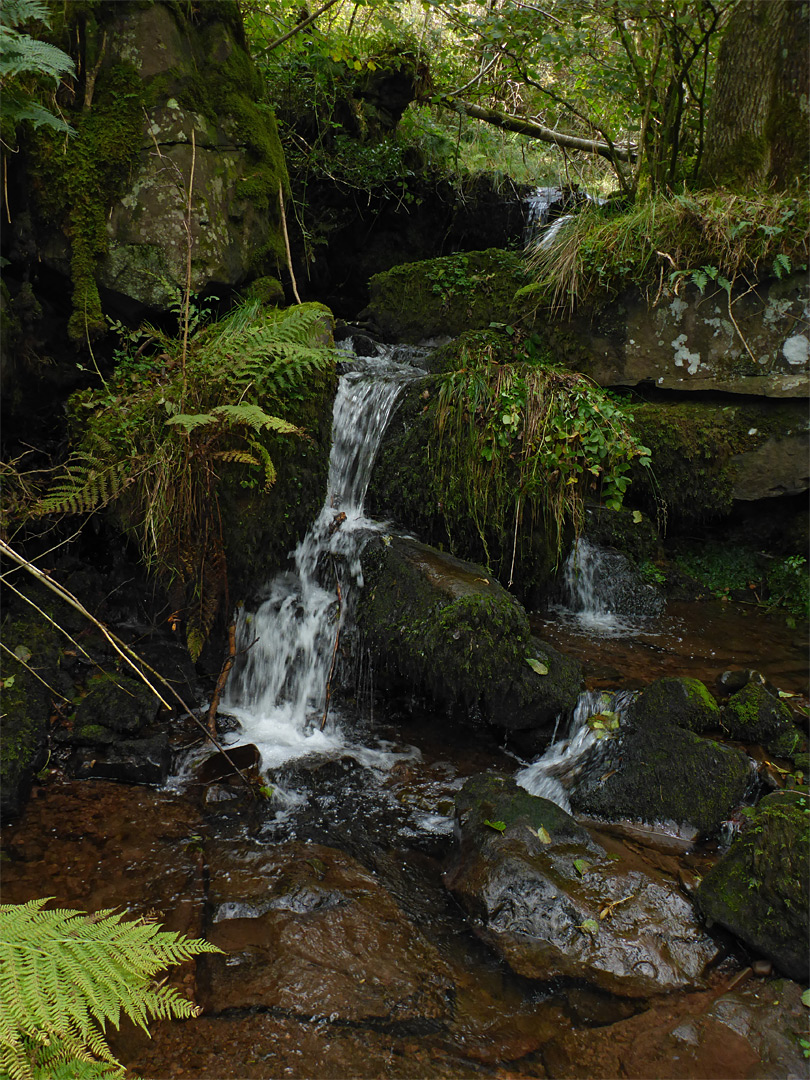 Small cascade