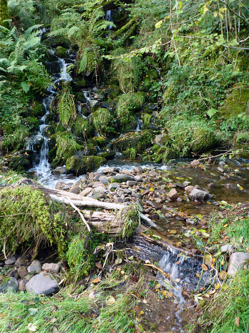 Tributary stream