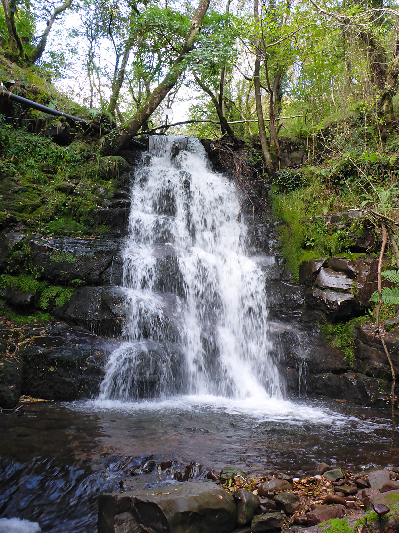 Mossy falls