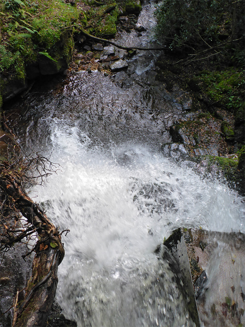 Brink of the falls