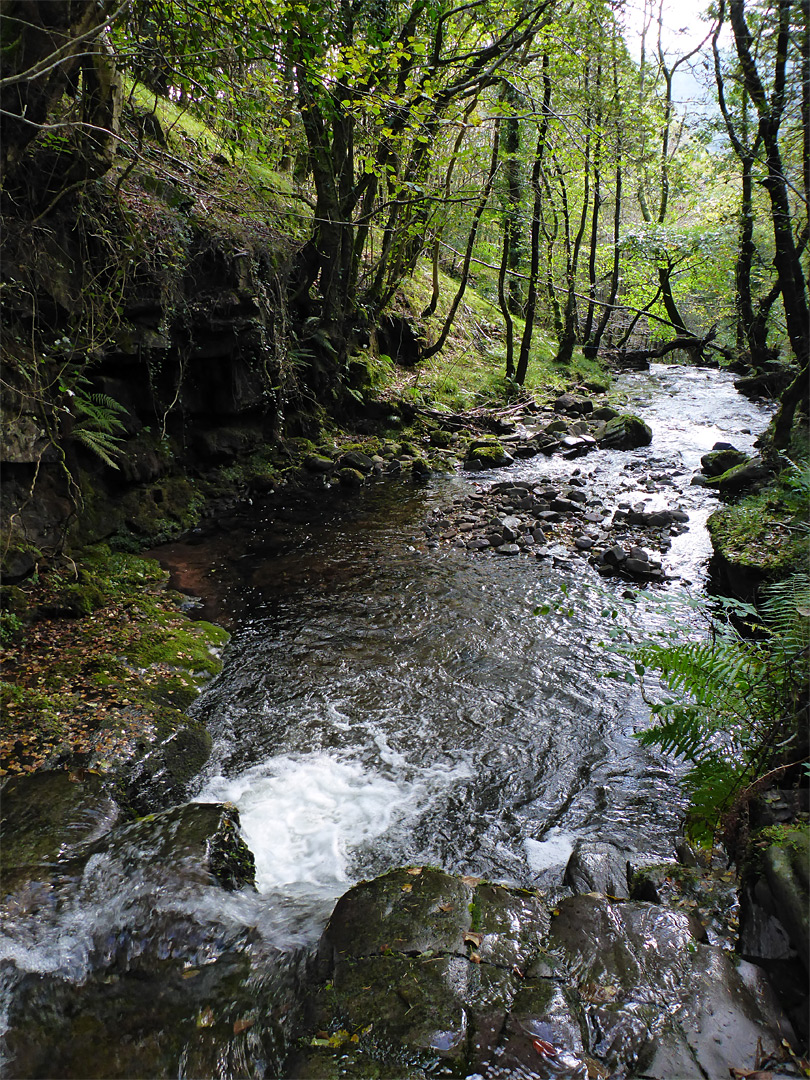 Rocks in the stream