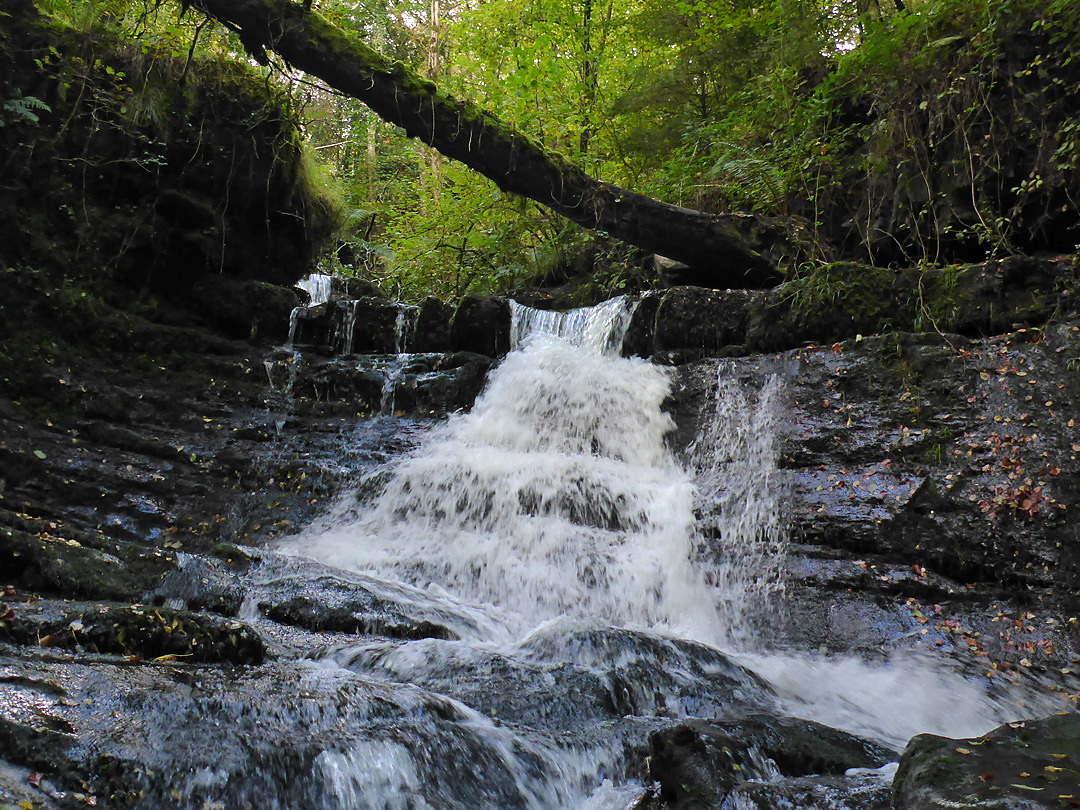 Stepped cascade