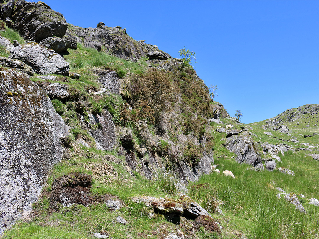 Grassy cliff