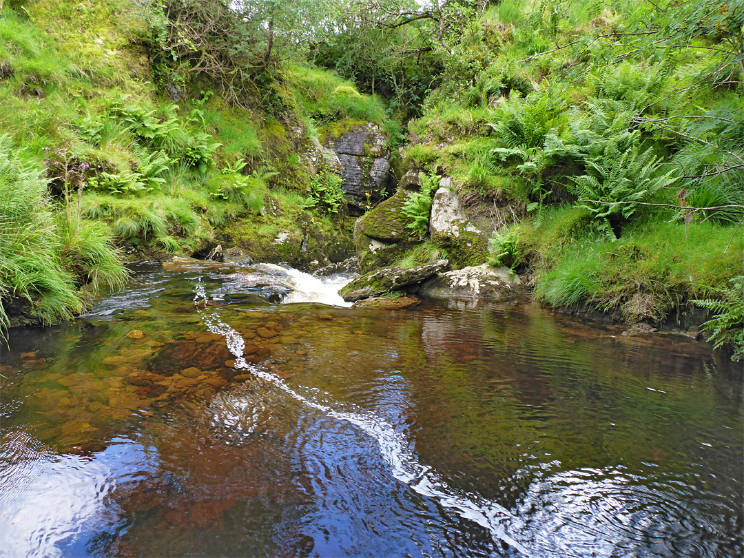 Calm pool