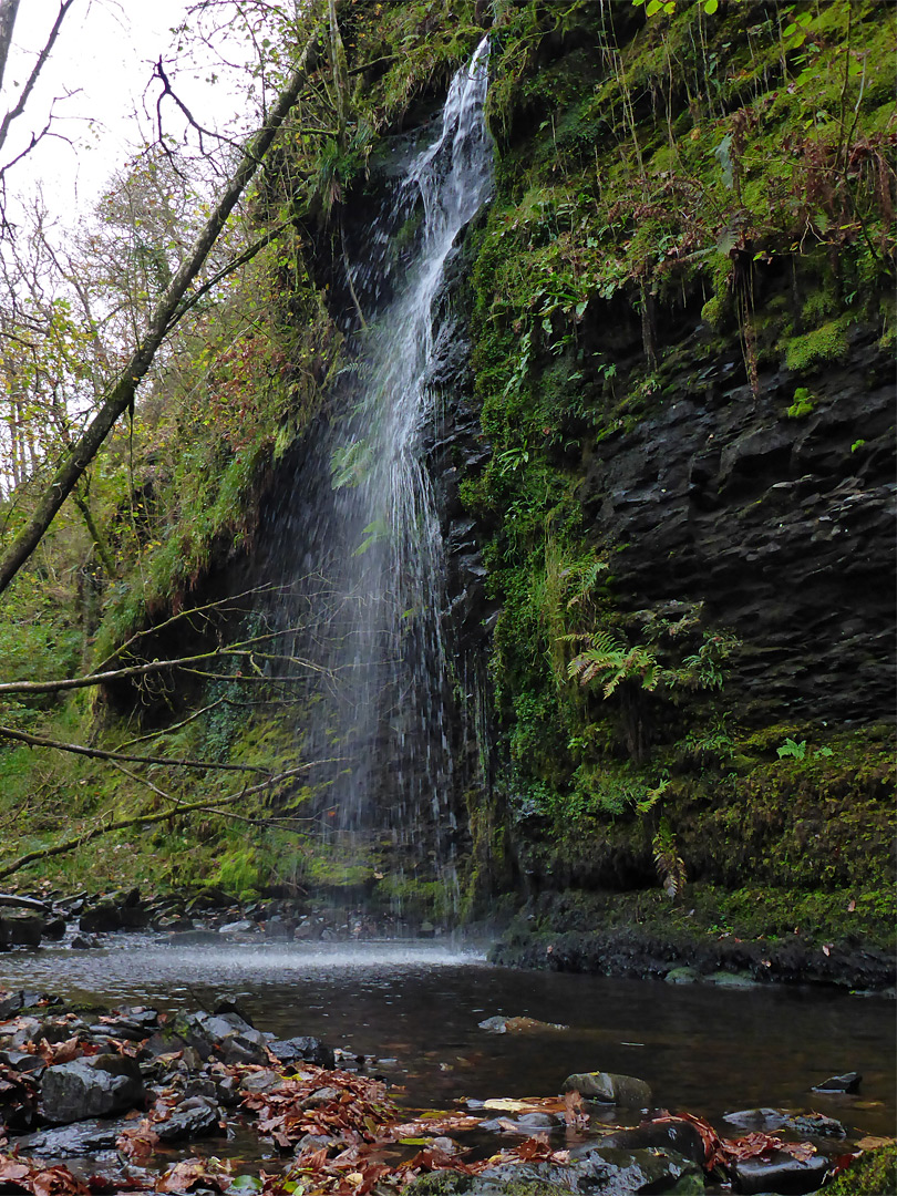 Mossy cliff