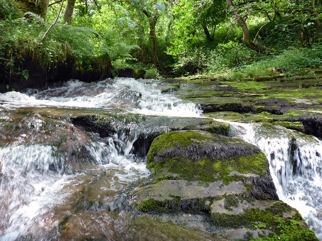 Moss-lined cascade