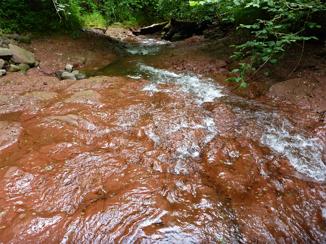 Red mudstone