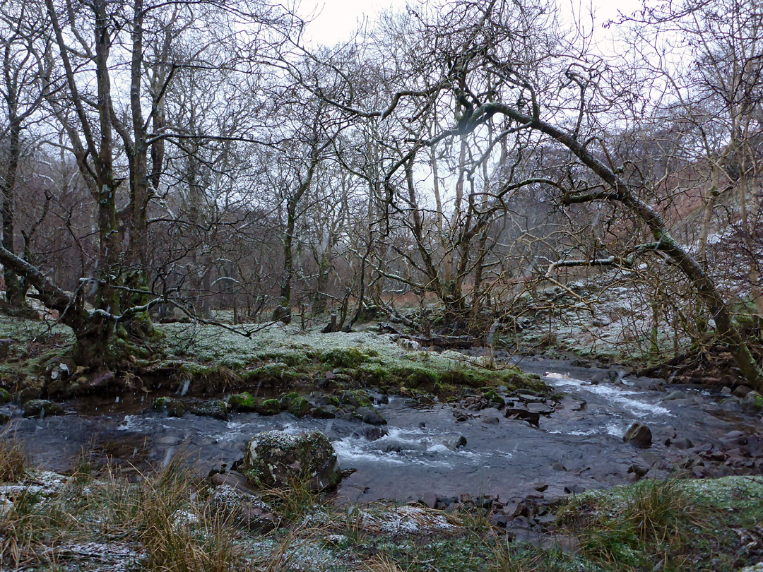 Bend along the stream