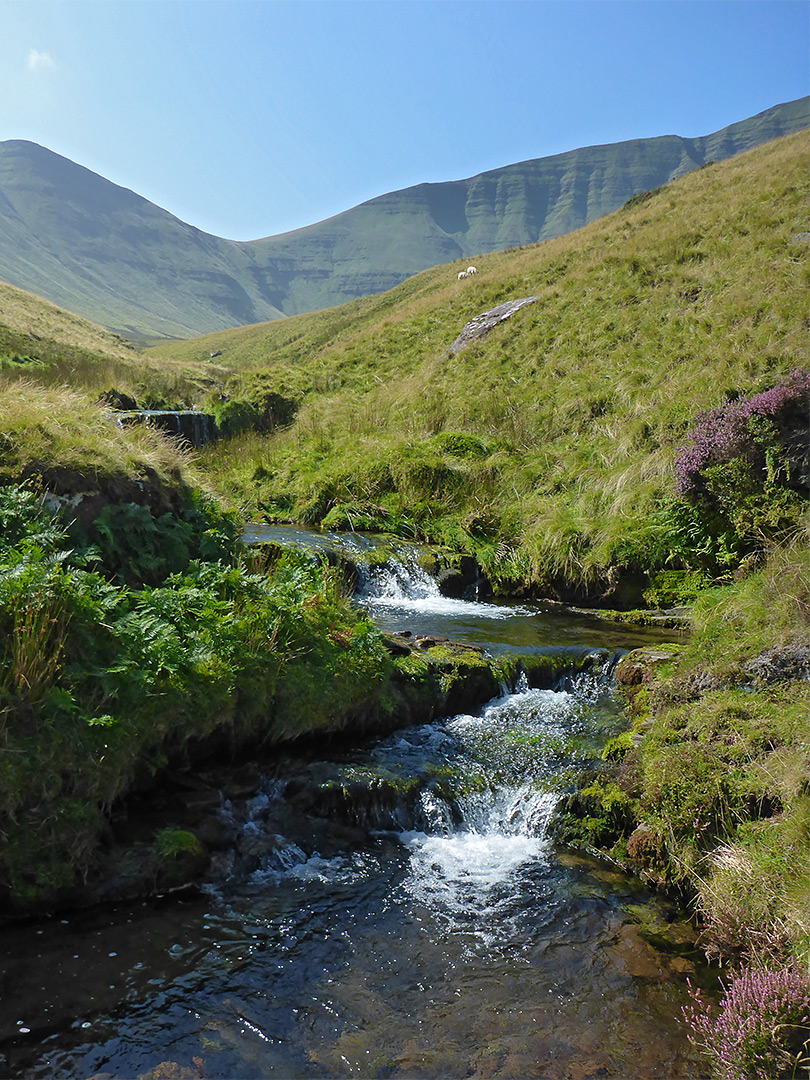 Shallow stream